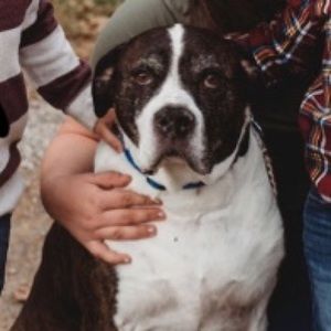 Meet your Posher, Zoey